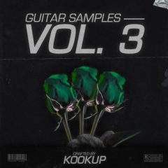دانلود پکیج لوپ گیتار KOOKUP Guitar Samples Vol.3 Full WAV