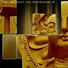 دانلود بانک صدای وی اس تی Vintage Synth – Pads – Deeper Omni – for Omnisphere 2