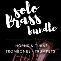 دانلود پکیج وی اس تی بادی برنجی Audio Modeling SWAM Solo Brass Bundle 02.2020 R2R
