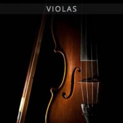 دانلود وی اس تی ویولا Auddict United Strings of Europe: Violas KONTAKT