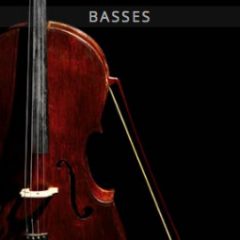 دانلود وی اس تی استرینگ Auddict United Strings of Europe: Basses KONTAKT