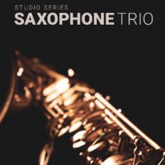 دانلود وی اس تی ساکسوفون ۸Dio Studio Saxophones v1.2 KONTAKT