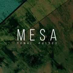 دانلود وی اس تی Umlaut Audio MESA KONTAKT