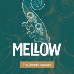 دانلود نسخه جدید وی اس تی بیس UJAM Virtual Bassist MELLOW v2.1.1-R2R