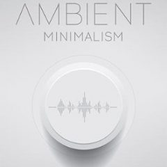دانلود وی اس تی فضاسازی Big Fish Audio Ambient Minimalism KONTAKT
