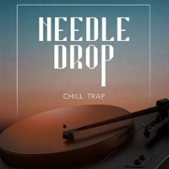 دانلود پکیج لوپ Big Fish Audio Needle Drop: Chill Trap WAV