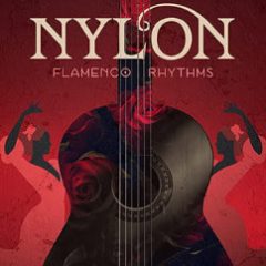 دانلود پکیج لوپ Big Fish Audio Nylon: Flamenco Rhythms WAV