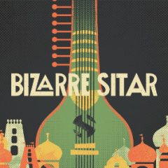دانلود وی اس تی سی‌تار Soundiron Bizarre Sitar v3.0 KONTAKT