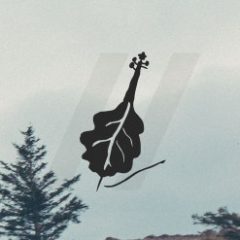 دانلود وی اس تی ویولنسل Waverunner Audio Alder Cello KONTAKT