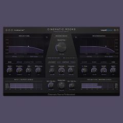 دانلود پلاگین ریورب LiquidSonics Cinematic Rooms Professional v1.0.3-R2R