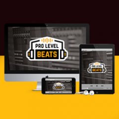 دانلود آموزش ساخت بیت هیپ هاپ در اف ال Pro Level Beats by Simon Servida TUTORiAL