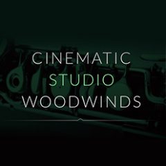 دانلود وی اس تی بادی چوبی Cinematic Samples Cinematic Studio Woodwinds v1.3 KONTAKT