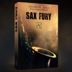 دانلود وی اس تی ساکسوفون Have Instruments Sax Fury KONTAKT