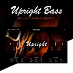 دانلود وی اس تی کنترباس Muze Upright Bass KONTAKT