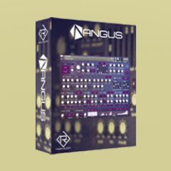 دانلود وی اس تی سینتی سایزر Rigid Audio – Angus KONTAKT