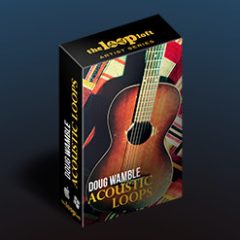 دانلود پکیج لوپ گیتار آکوستیک The Loop Loft Doug Wamble: Acoustic Guitar Loops WAV