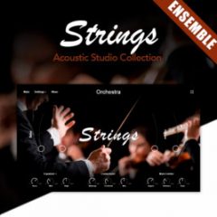 دانلود وی اس تی استرینگ گروهی Muze Strings Ensemble KONTAKT