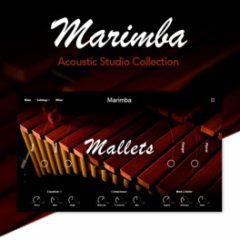 دانلود وی اس تی ماریمبا Muze Marimba KONTAKT