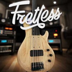 دانلود بانک صدای افزودنی وی اس تی بیس Toontrack Fretless EBX v1.0.0 SOUNDBANK