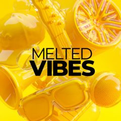 دانلود وی اس تی Native Instruments Melted Vibes WiN OSX KONTAKT