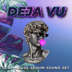 دانلود پکیج لوپ و سمپل و پریست Evolution of Sounds Deja Vu WAV MiDi SERUM