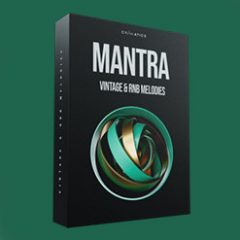 دانلود پکیج لوپ ملودی Cymatics Mantra Vintage & RnB Melody WAV MiDi