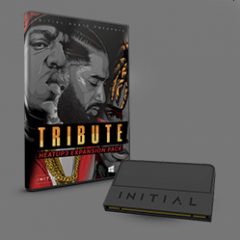 دانلود بانک صدای افزودنی وی اس تی Initial Audio Tribute Heat Up 3 Expansion WiN