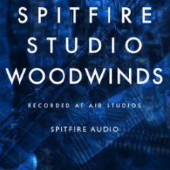 دانلود وی اس تی بادی چوبی Spitfire Audio Spitfire Studio Woodwinds KONTAKT
