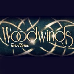 دانلود وی اس تی فلوت Strezov Sampling Flute Ensemble KONTAKT