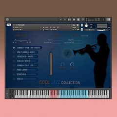 دانلود وی اس تی جاز Insanity Samples The Cool Jazz Collection KONTAKT
