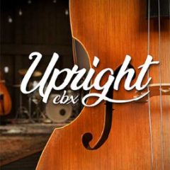 دانلود بانک صدای افزودنی وی اس تی Toontrack Upright EBX v1.0.0 (SOUNDBANK)