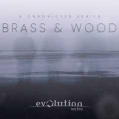 دانلود وی اس تی Evolution Series Chronicles: Brass and Wood v1.0 KONTAKT