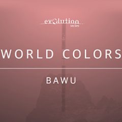 دانلود وی اس تی فلوت چینی Evolution Series World Colors Bawu v2.0 KONTAKT