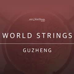 دانلود وی اس تی استرینگ چینی Evolution Series World Strings Guzheng v2.0 KONTAKT