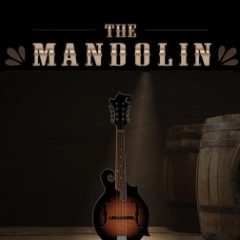 دانلود وی اس تی ماندولین Indiginus The Mandolin KONTAKT
