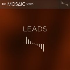 دانلود وی اس تی Heavyocity Mosaic Leads KONTAKT