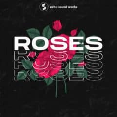 دانلود پکیج Echo Sound Works Roses Production Suite MULTiFORMAT