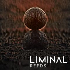 دانلود وی اس تی بادی چوبی Crocus Soundware LIMINAL Reeds KONTAKT