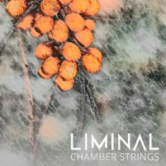 دانلود وی اس تی استرینگ Crocus Soundware LIMINAL Chamber Strings KONTAKT