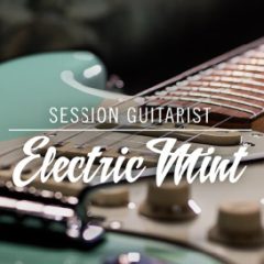 دانلود نسخه جدید وی اس تی Native Instruments Session Guitarist Electric Mint v1.1 KONTAKT
