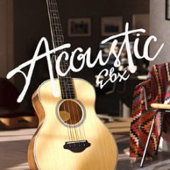 دانلود بانک صدای افزودنی وی اس تی بیس Toontrack Acoustic EBX