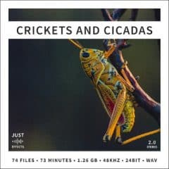 دانلود بانک صدای افکت صوتی Just Sound Effects Crickets and Cicadas WAV
