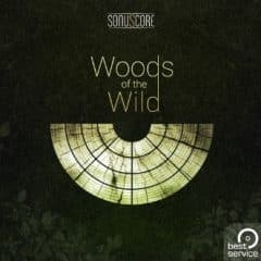 دانلود وی اس تی بادی چوبی Best Service TO – Woods Of The Wild KONTAKT
