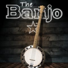 دانلود وی اس تی بانجو Indiginus The Banjo KONTAKT
