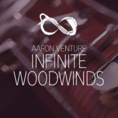 دانلود وی اس تی بادی چوبی Aaron Venture Infinite Woodwinds v2.0 KONTAKT