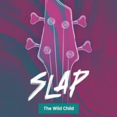دانلود وی اس تی گیتار بیس UJAM Virtual Bassist SLAP v2.1.1-R2R