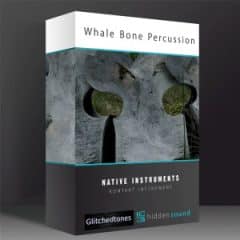 دانلود وی اس تی پرکاشن Glitchedtones x Hidden Sound Whale Bone Percussion KONTAKT
