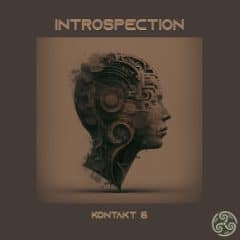 دانلود وی اس تی Triple Spiral Audio Introspection KONTAKT