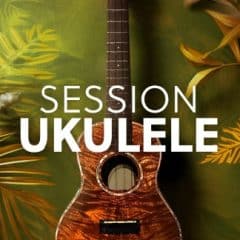 دانلود وی اس تی گیتار یوکوللی Native Instruments Session Ukulele KONTAKT
