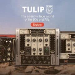 دانلود پلاگین Acustica Audio Tulip 2023-R2R